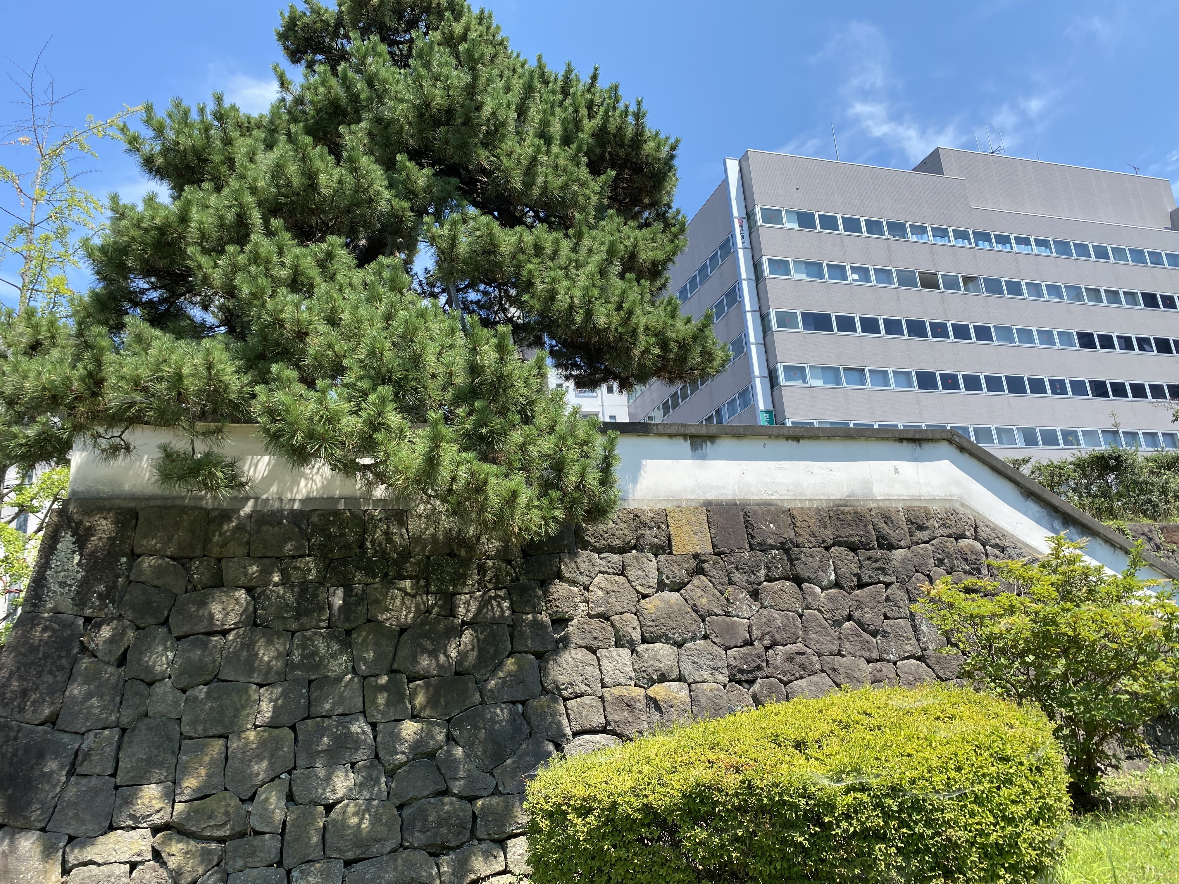 キャリアアップ助成金申請代行