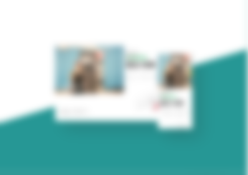 Shopifyを用いたブランドサイト兼ECサイトの構築