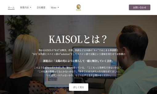 合同会社KAISOLのKAISOLサービス