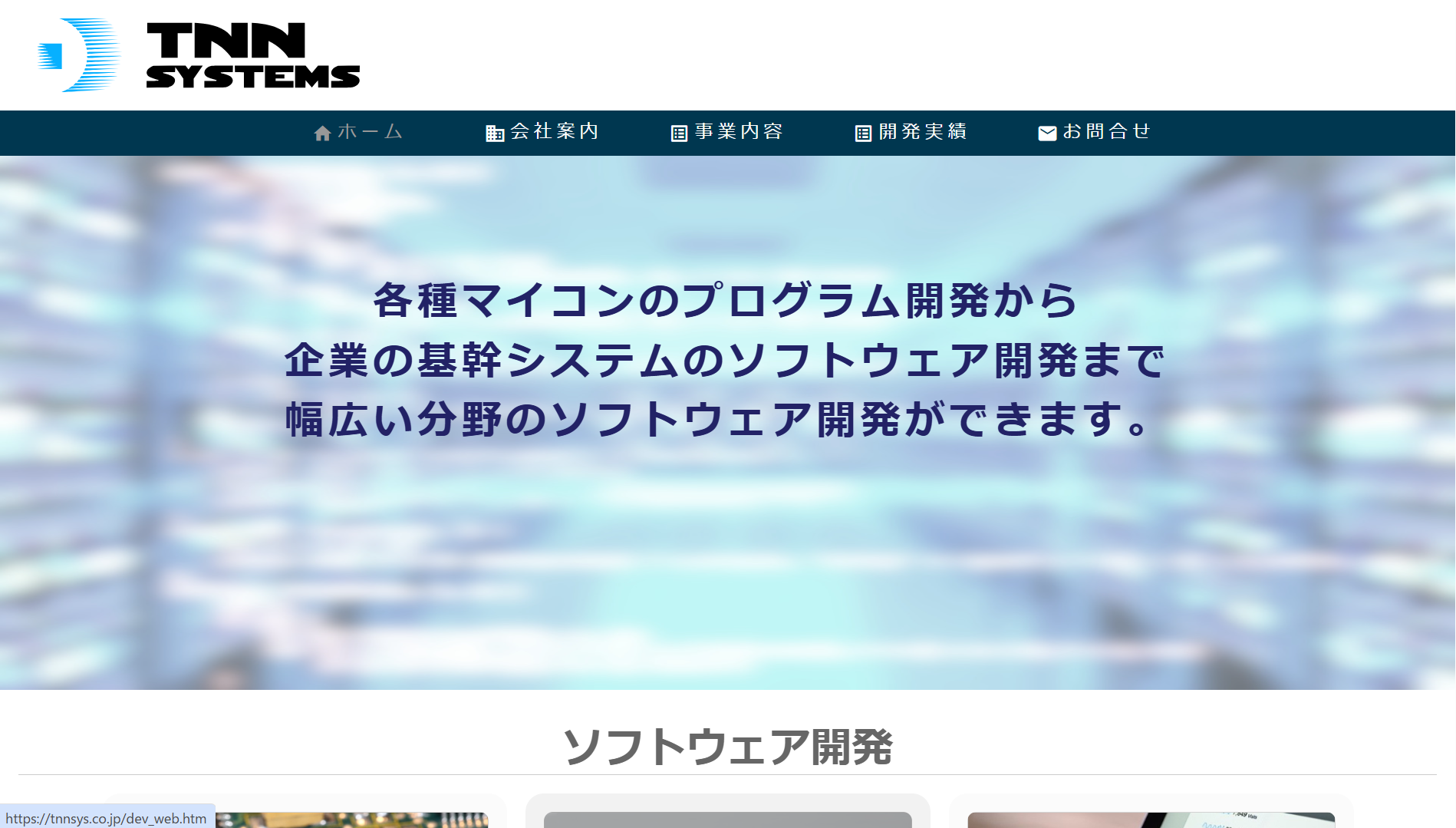 有限会社ティーエヌエヌシステムズの有限会社ティーエヌエヌシステムズサービス