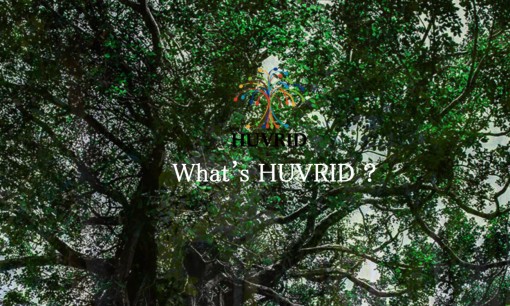 株式会社HUVRID（株式会社wevnal 沖縄支社）のリスティング広告サービスのホームページ画像