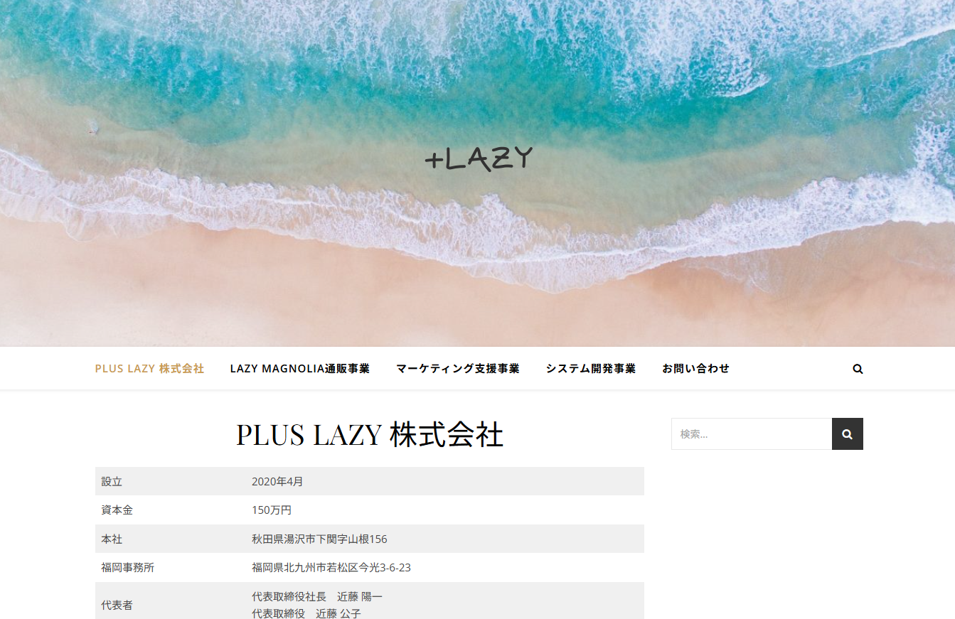 PLUS LAZY 株式会社のPLUS LAZY 株式会社サービス