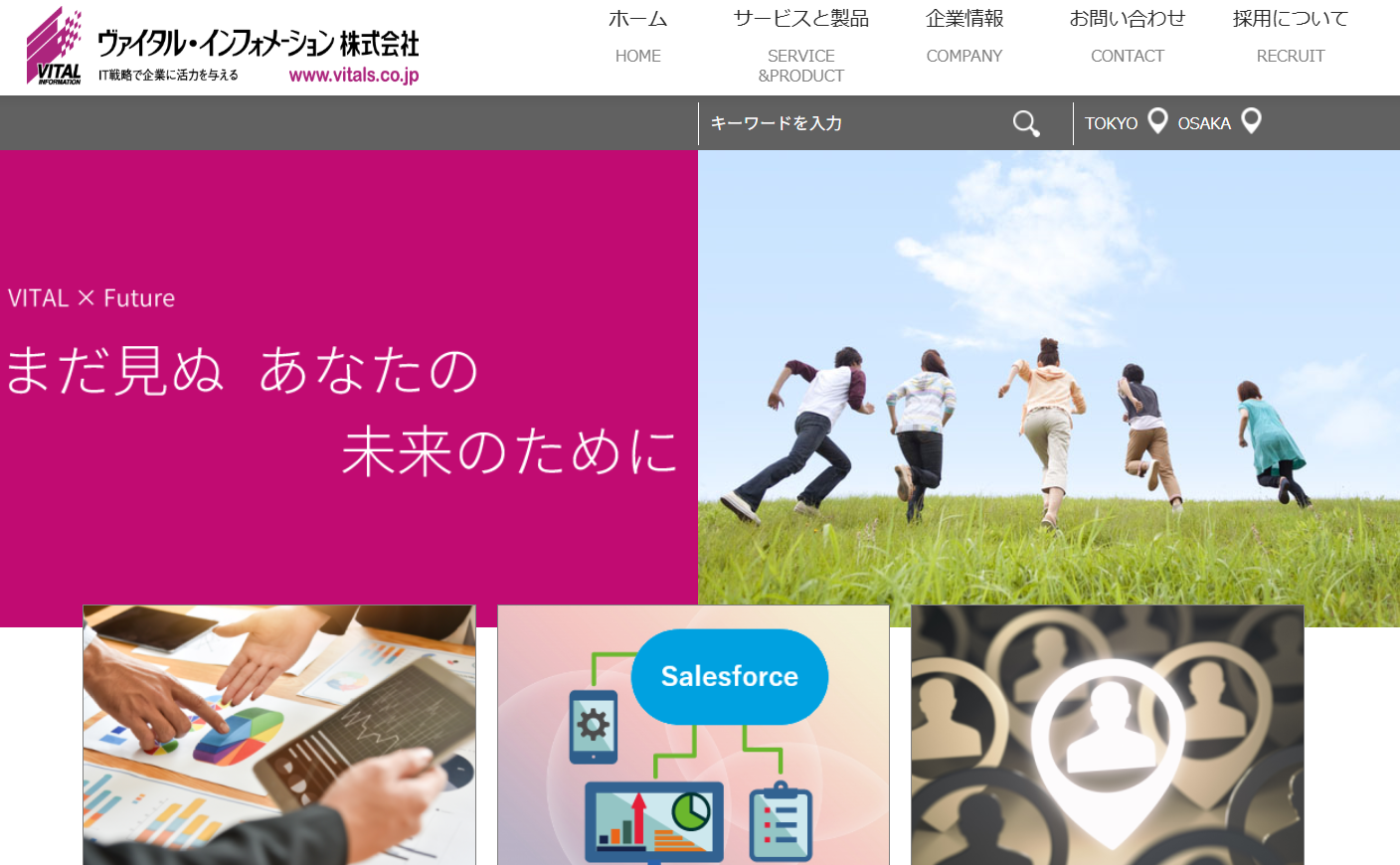 ヴァイタル・インフォメーション株式会社のヴァイタル・インフォメーション株式会社サービス