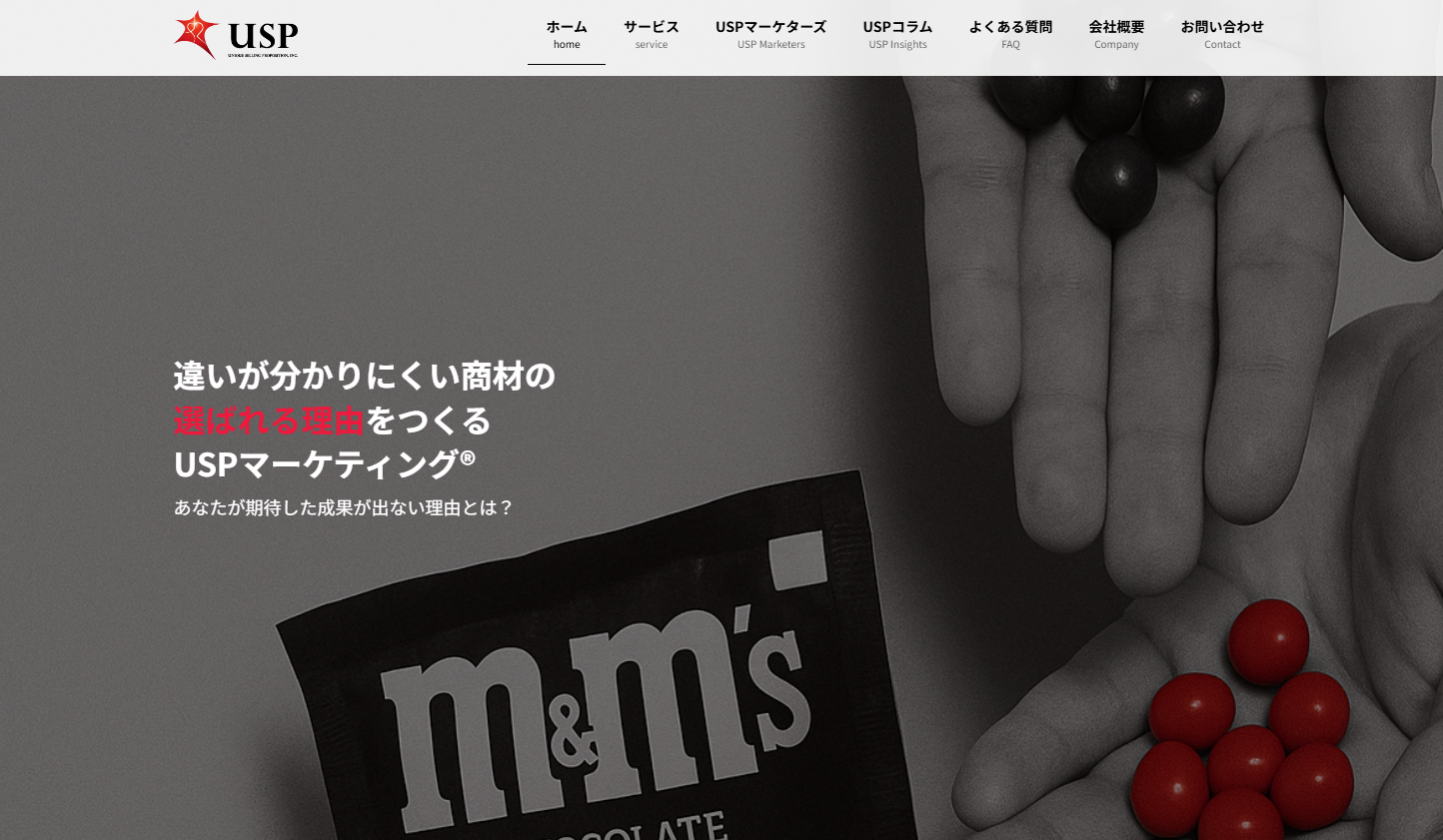 株式会社U.S.Pのコンサルティングサービスのホームページ画像