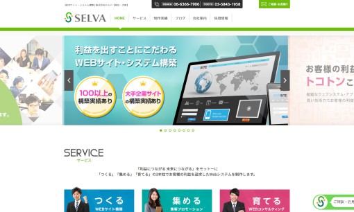 株式会社セルバのホームページ制作サービスのホームページ画像