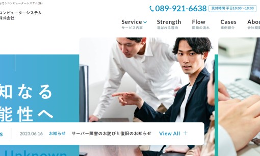 コンピューターシステム株式会社のシステム開発サービスのホームページ画像