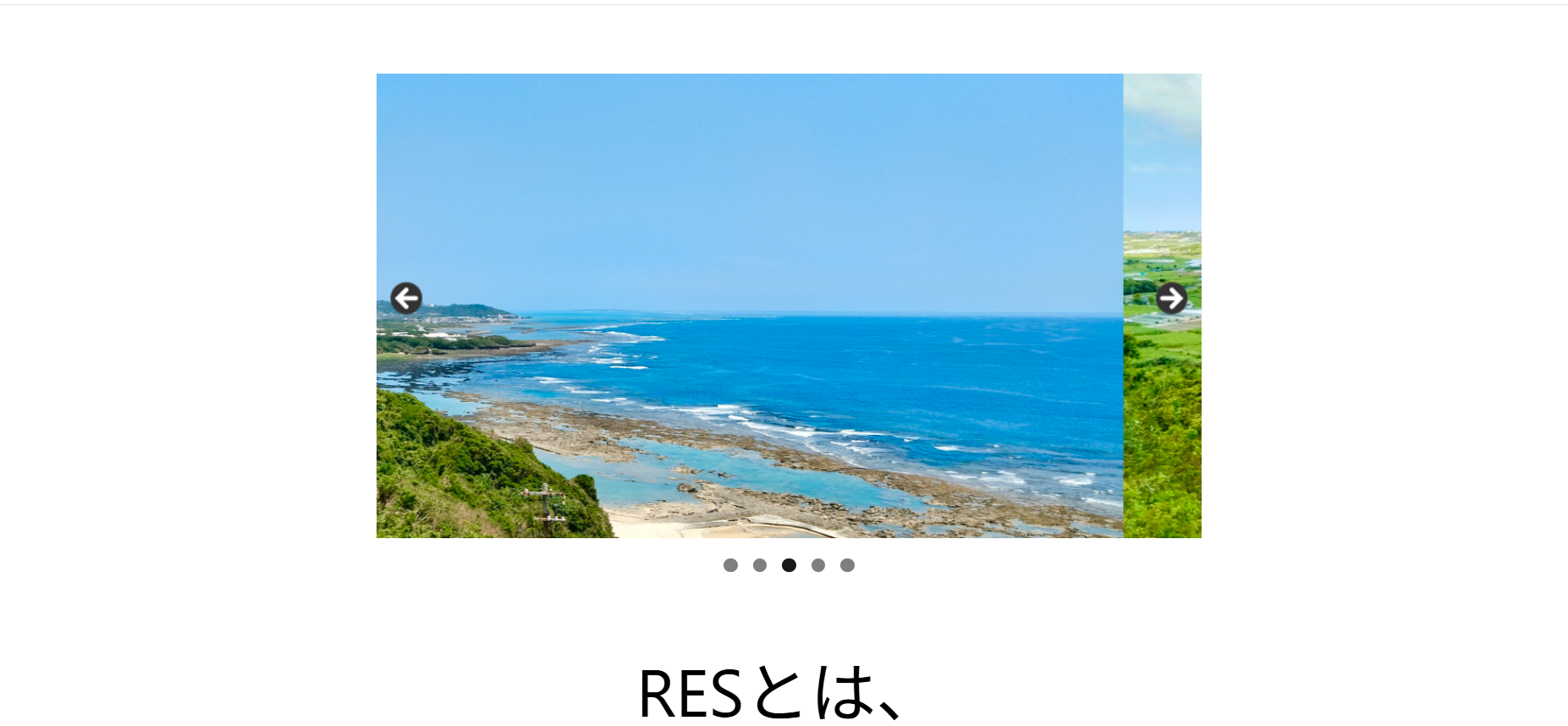 合同会社RESの合同会社RESサービス