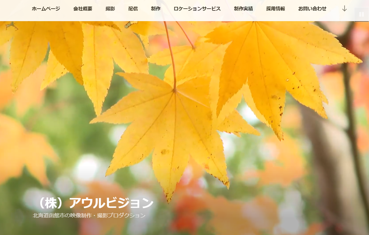株式会社アウルビジョンの株式会社アウル・ビジョンサービス