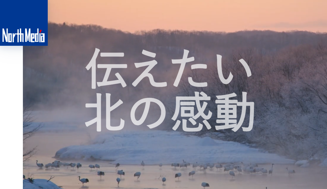 有限会社ノースメディアの有限会社ノースメディアサービス