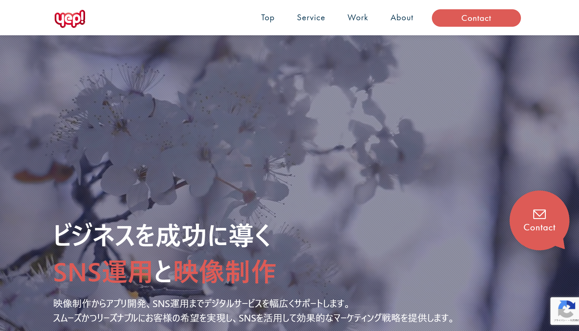 株式会社ワイプの株式会社ワイプサービス