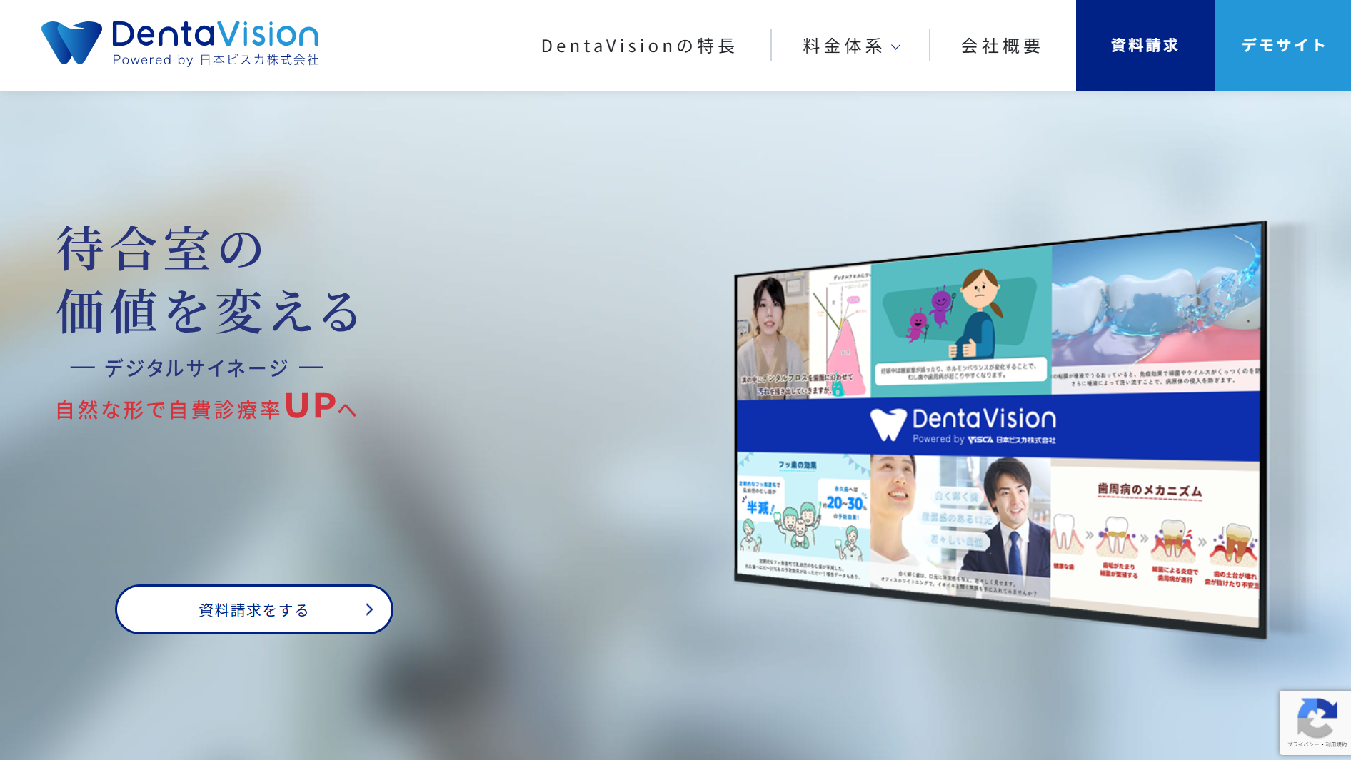 日本ビスカ株式会社のDentaVisionサービス