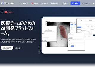 モッドアステラ株式会社のモッドアステラ株式会社サービス