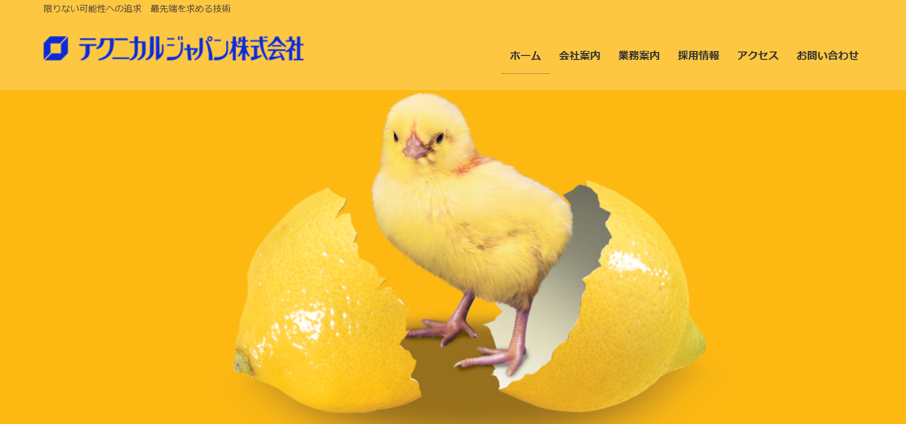 テクニカルジャパン株式会社のテクニカルジャパン株式会社サービス