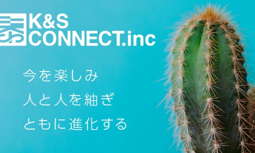 株式会社K＆Sコネクトインクのホームページ制作サービスのホームページ画像