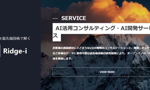 株式会社 Ridge-iのシステム開発サービスのホームページ画像
