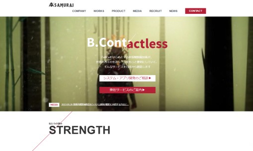 株式会社Samuraiのホームページ制作サービスのホームページ画像