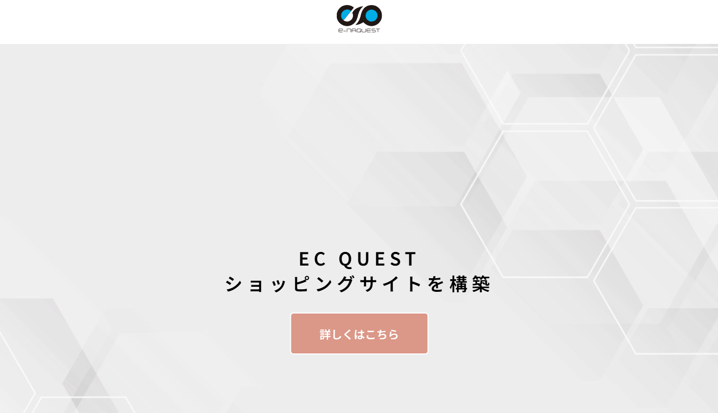 e-NAQUEST株式会社のe-NAQUEST株式会社サービス