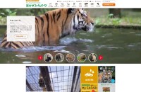 BtoC 富士サファリパーク WEB制作・保守（静岡県）