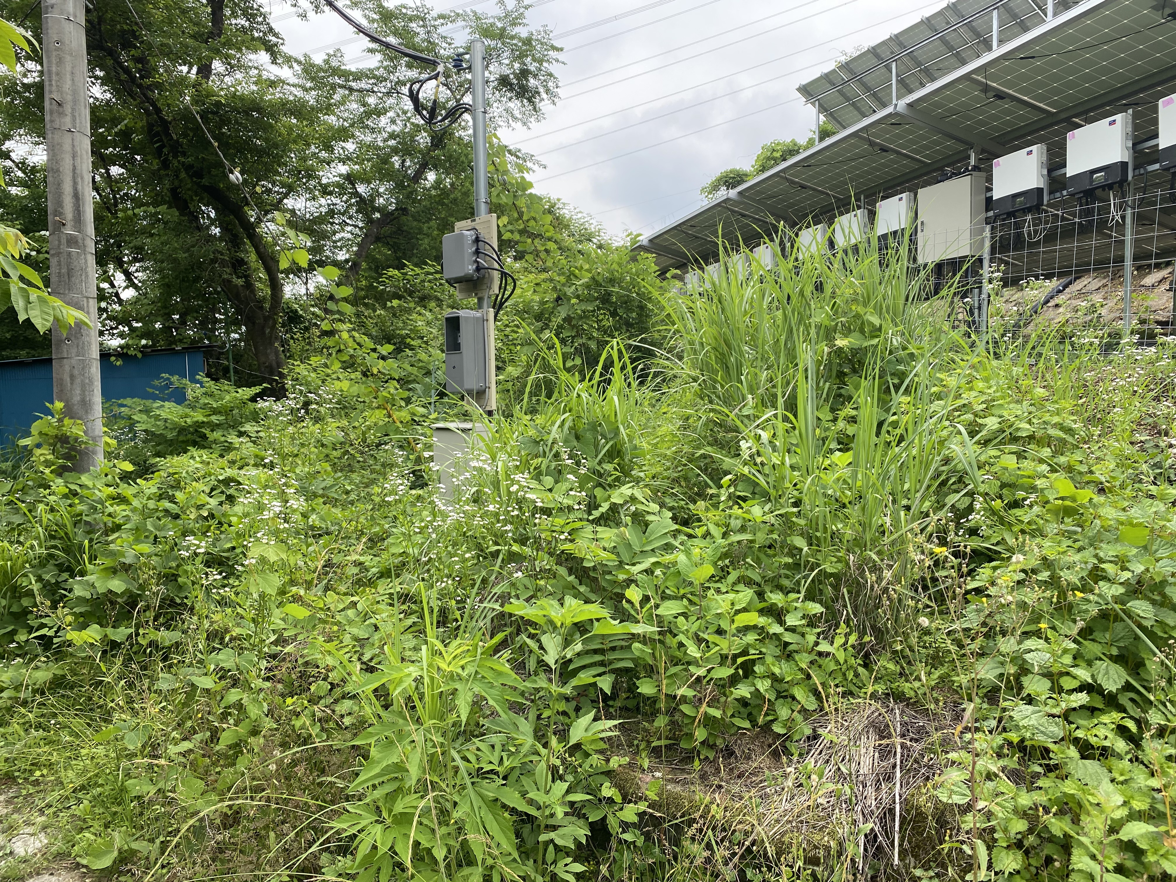 太陽光発電所草刈作業