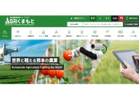 熊本県のポータルサイト制作