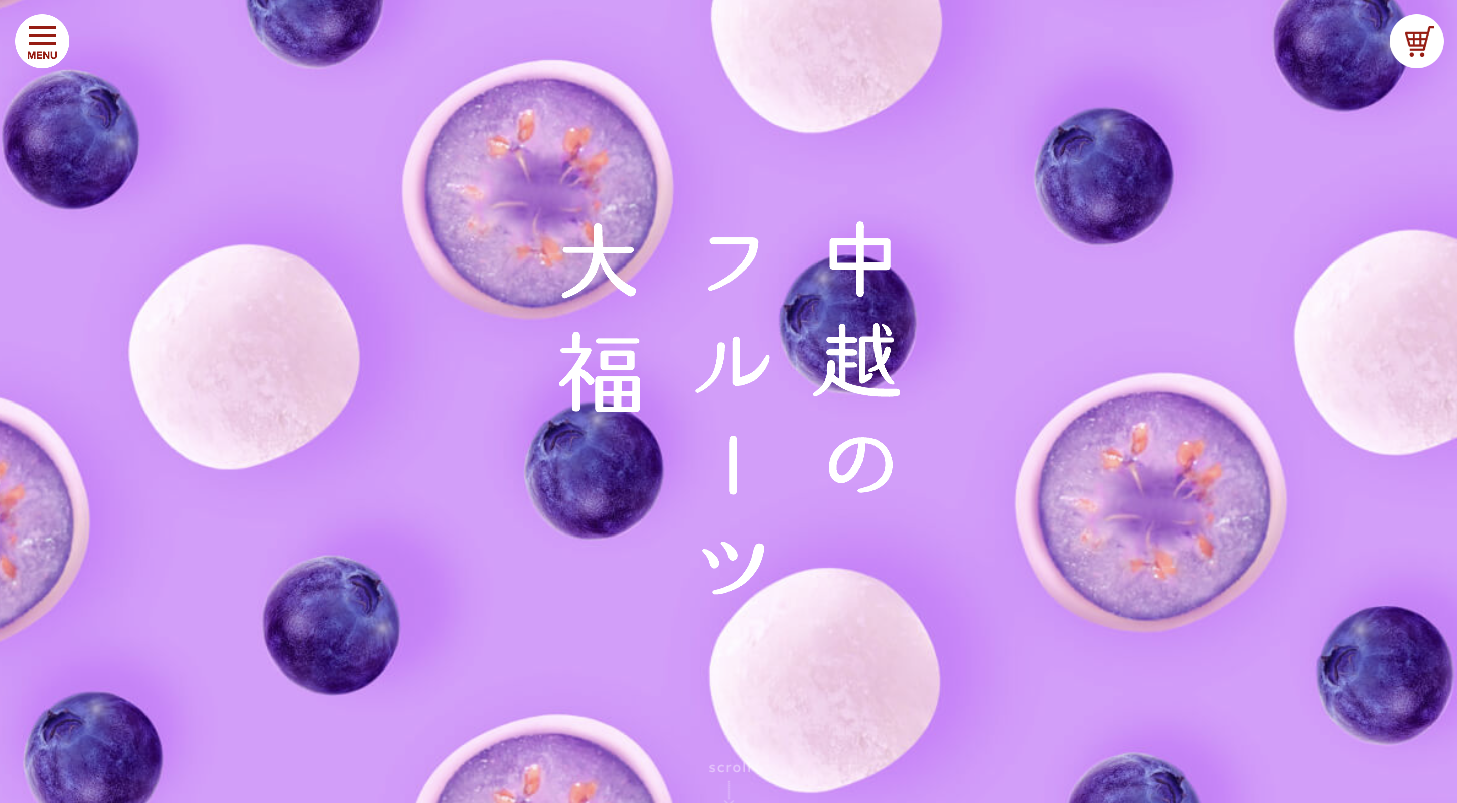 商品ブランドサイト(予算：30万円)