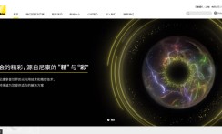 株式会社ニコンの現地法人(中国)サイト制作