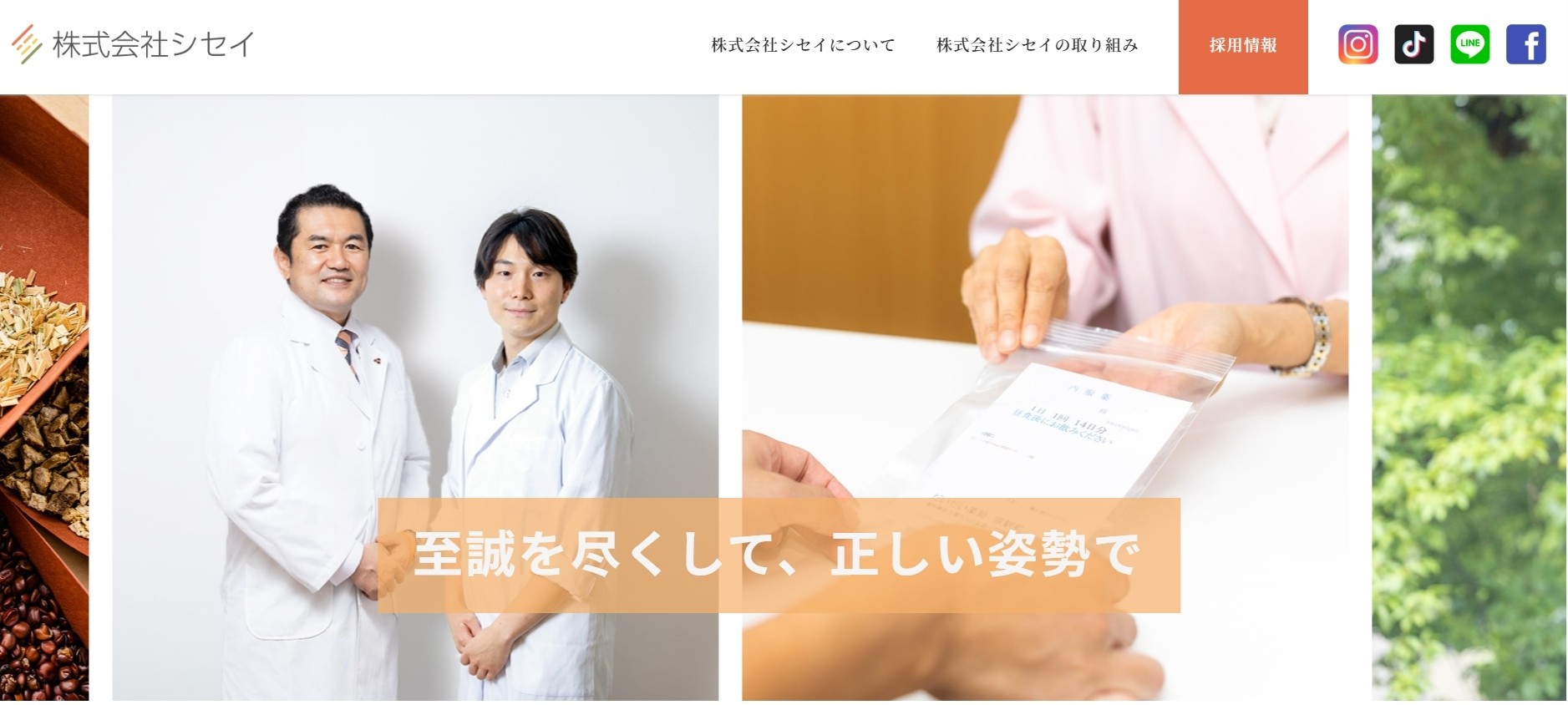 株式会社シセイ