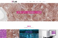 株式会社N Labのコーポレートサイト制作（企業サイト）