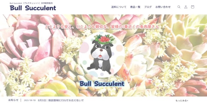 Bull SucculentのECサイト制作（ネットショップ制作）