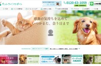 「福岡 ペット葬儀」でSEO上位表示獲得中のホームページ制作