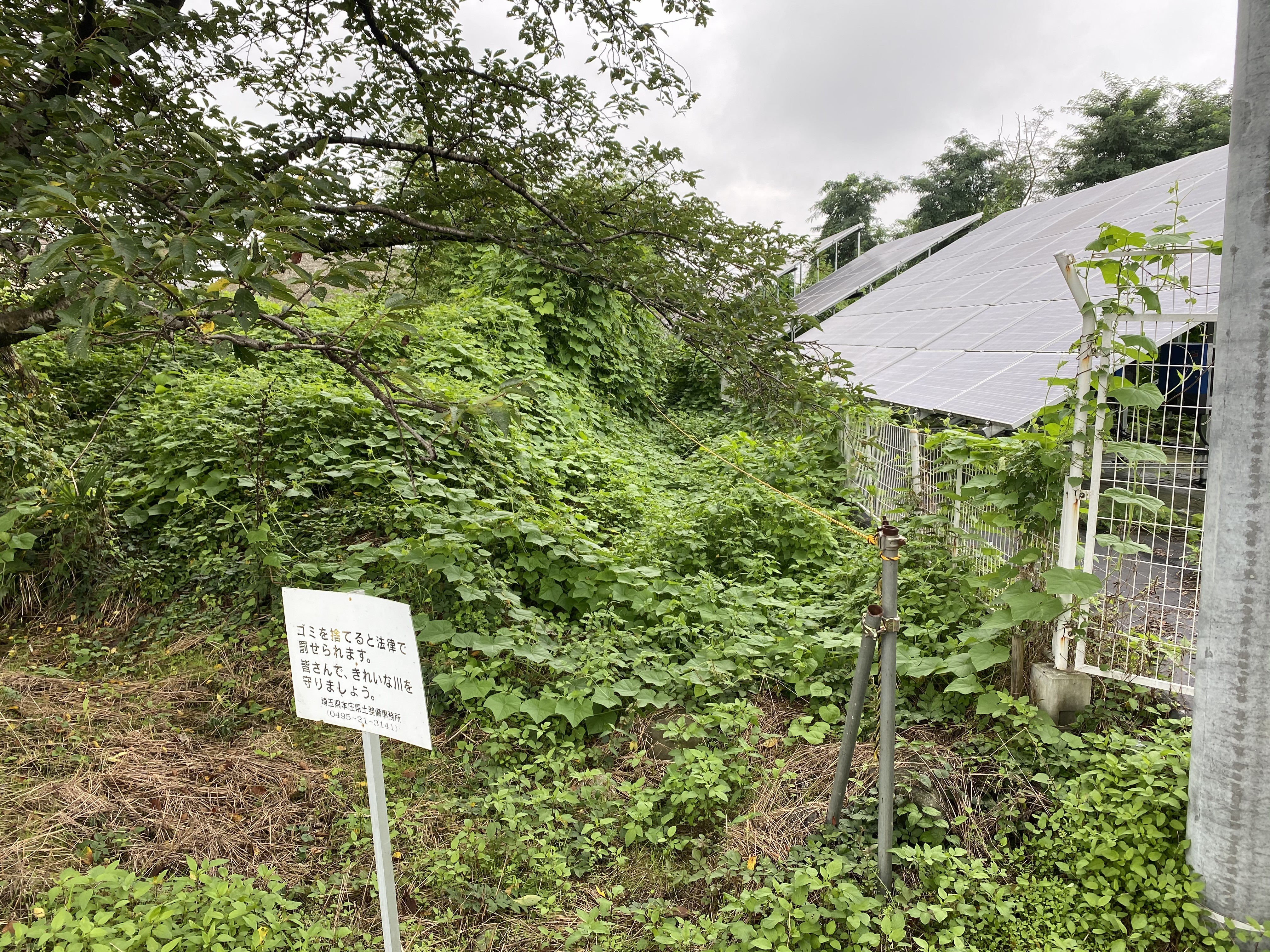 太陽光発電所草刈作業