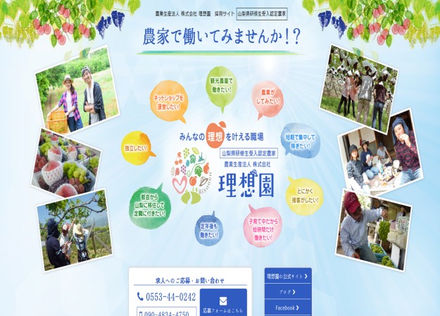 農業生産法人 株式会社 理想園のコーポレートサイト制作（企業サイト）