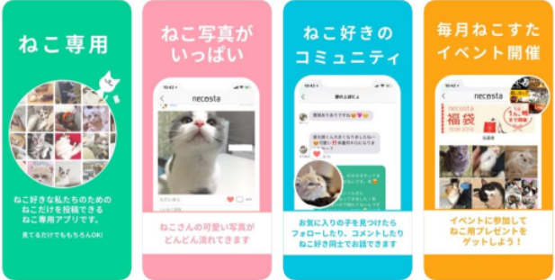 GPSアプリ「ねこすた」を開発