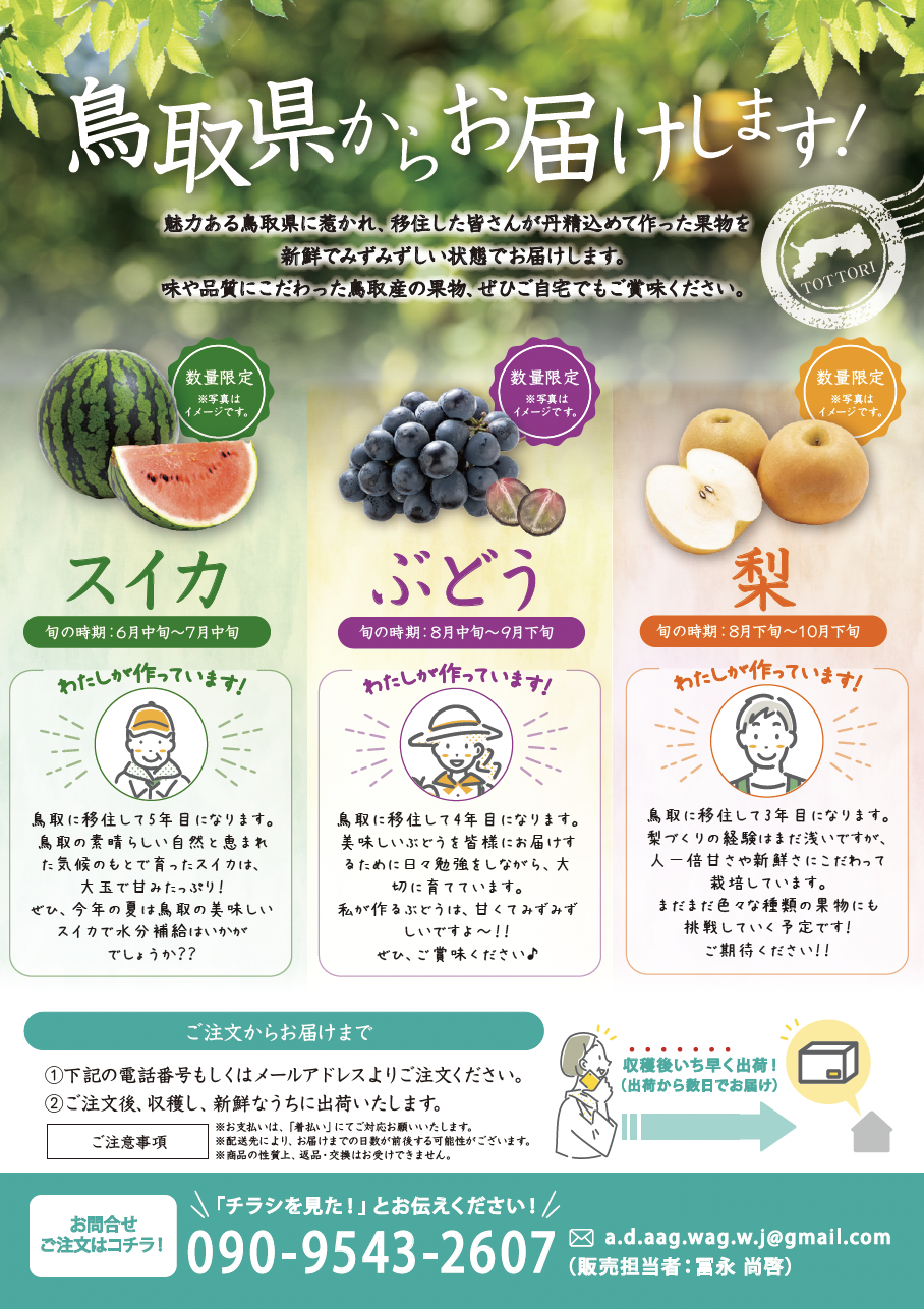 販促用チラシ制作