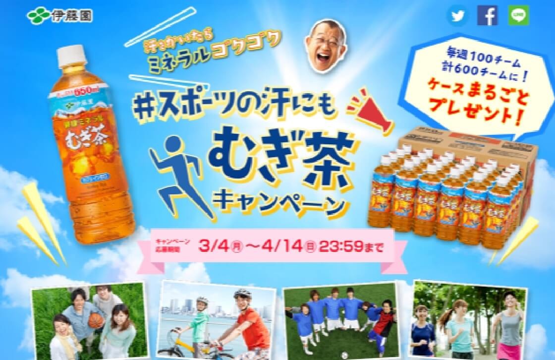 株式会社伊藤園　キャンペーンサイト制作