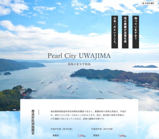 INOUE PEARLのサービスサイト制作