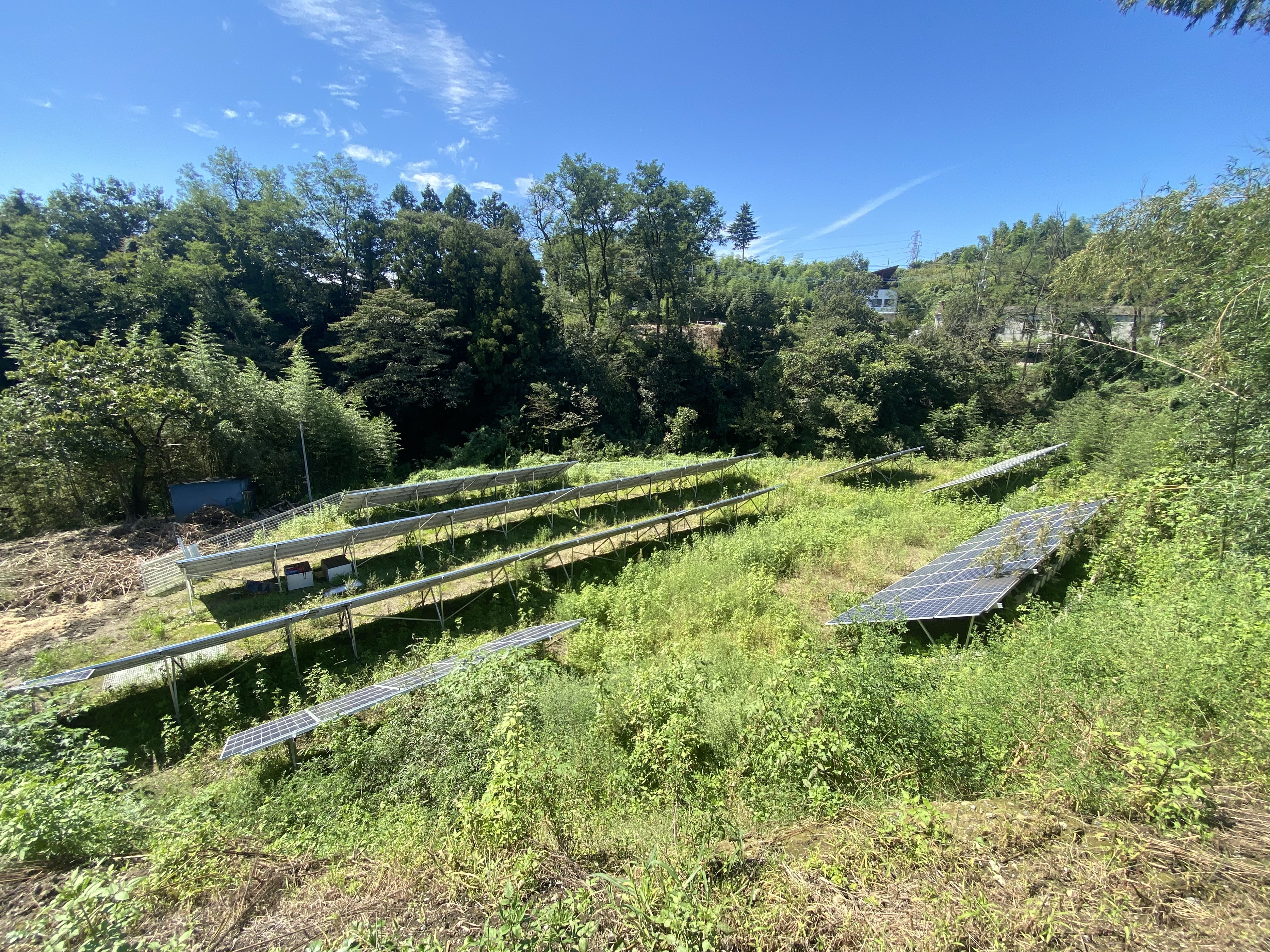 太陽光発電所草刈作業