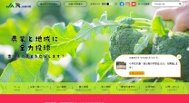 株式会社香川県農協電子計算センター（JAへ吸収）の業務システム開発
