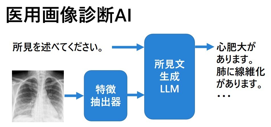 【某医科大学様】読影支援マルチモーダルAI開発