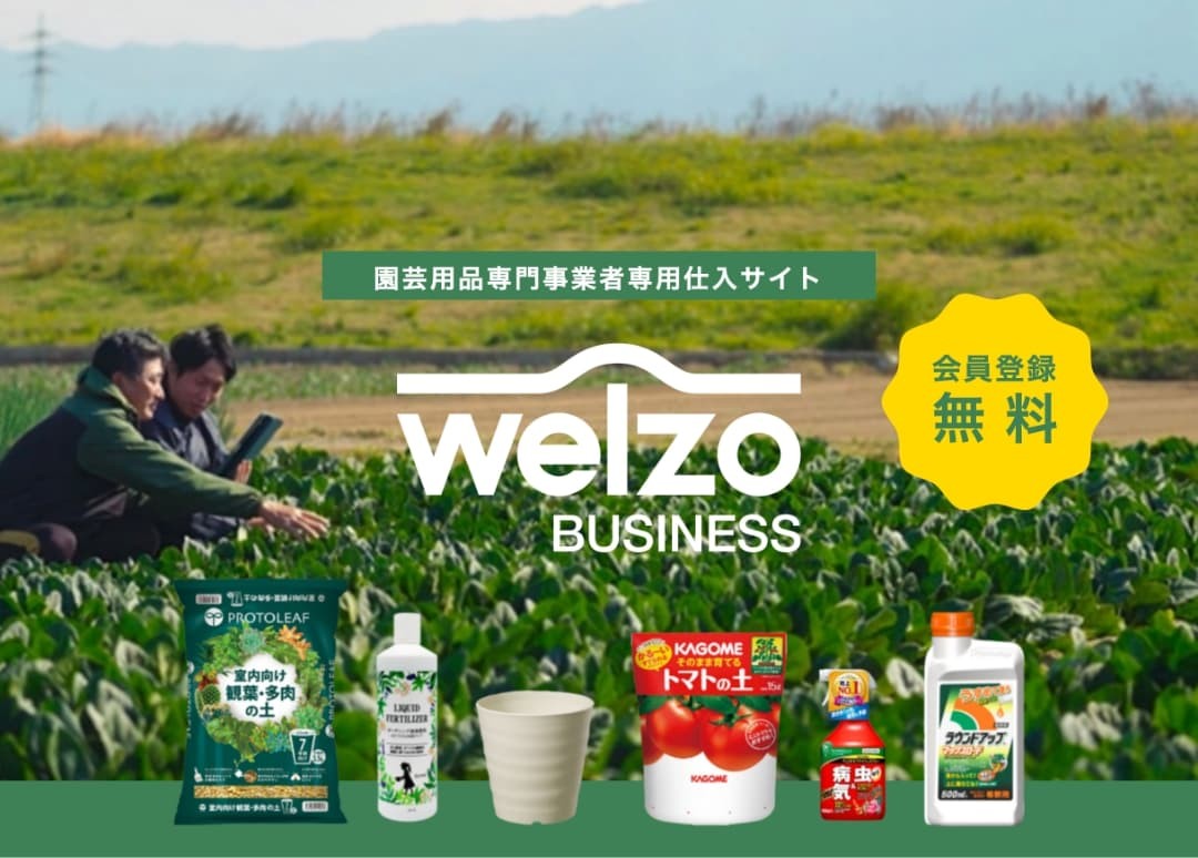 株式会社welzoのランディングページ制作+広告運用