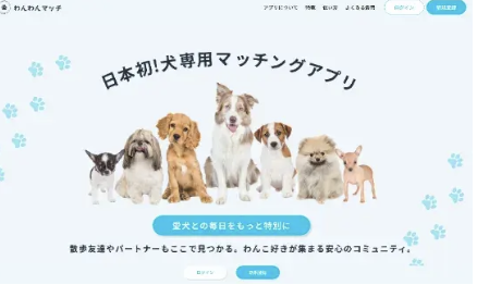 ペットマッチング / SNS