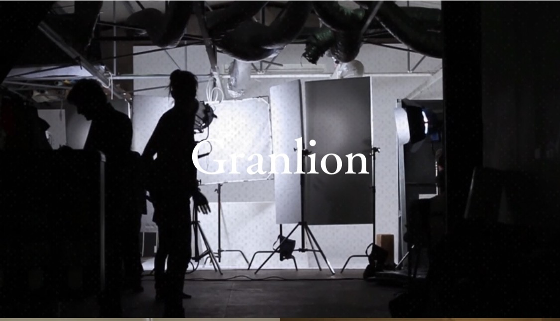 Granlion株式会社のGranlion株式会社:動画制作・映像制作サービス